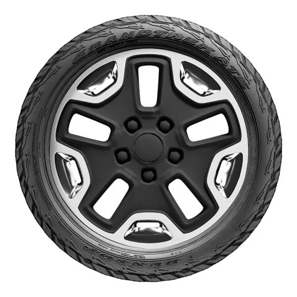 Pneu Dunlop Grandtrek AT5 — vue 4