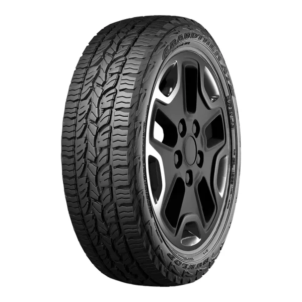 Pneu Dunlop Grandtrek AT5 — vue 2