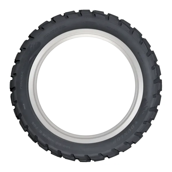 Pneu Dunlop Trailmax Raid — vue 3