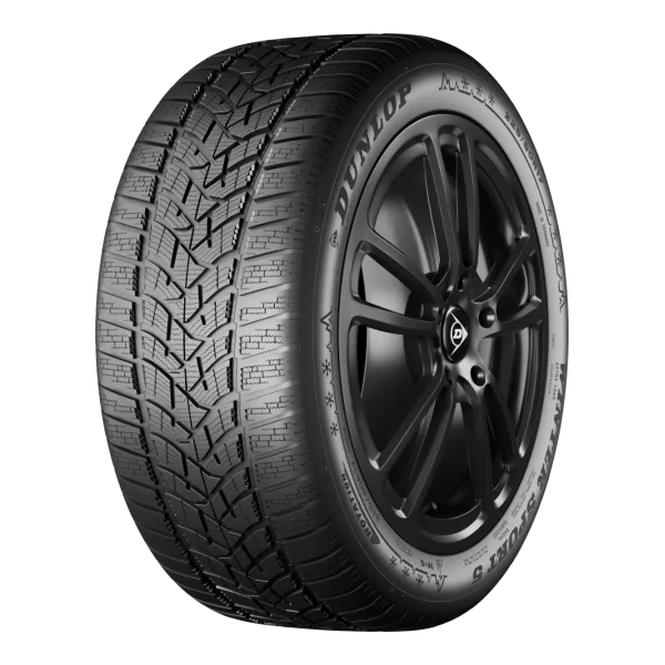 Pneu Dunlop Winter Sport 5 — vue 4