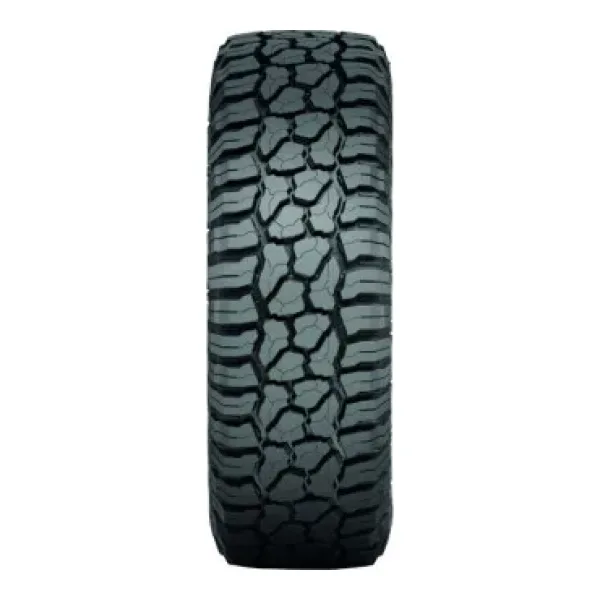 Pneu Falken Wildpeak R/T01 — vue 2