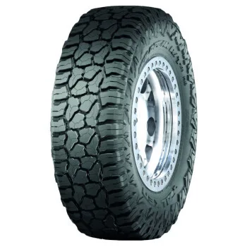 Pneu Falken Wildpeak R/T01