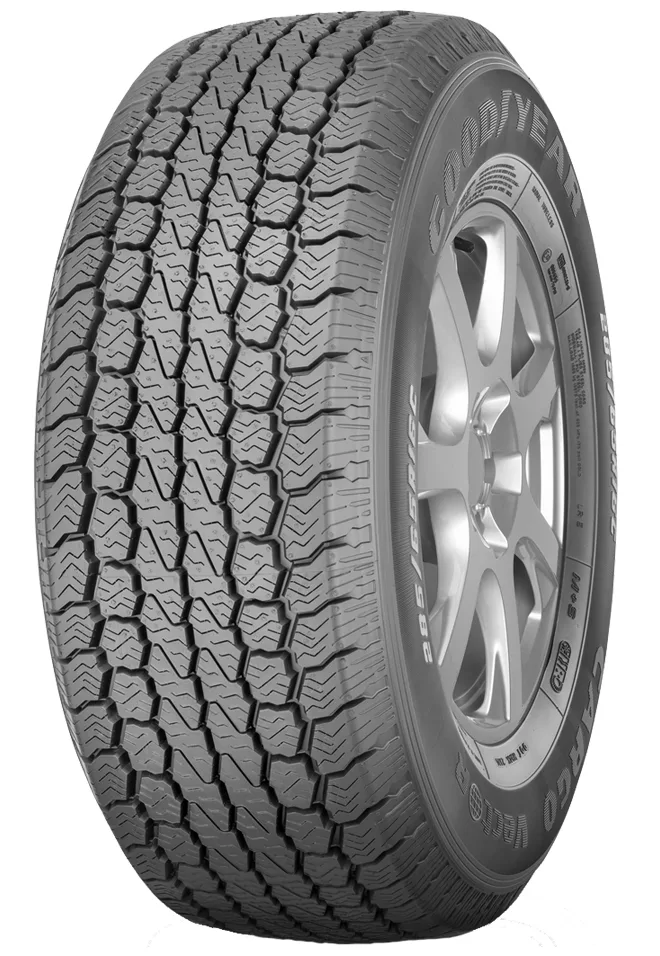 Pneu Goodyear Cargo Vector