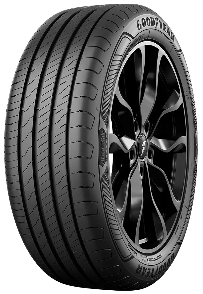 Pneu Goodyear EfficientGrip Performance 2