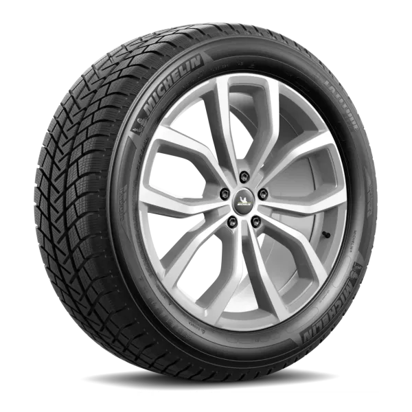 Pneu Michelin Latitude Alpin — vue 2