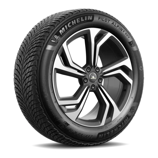 Pneu Michelin Pilot Alpin 5 SUV — vue 2