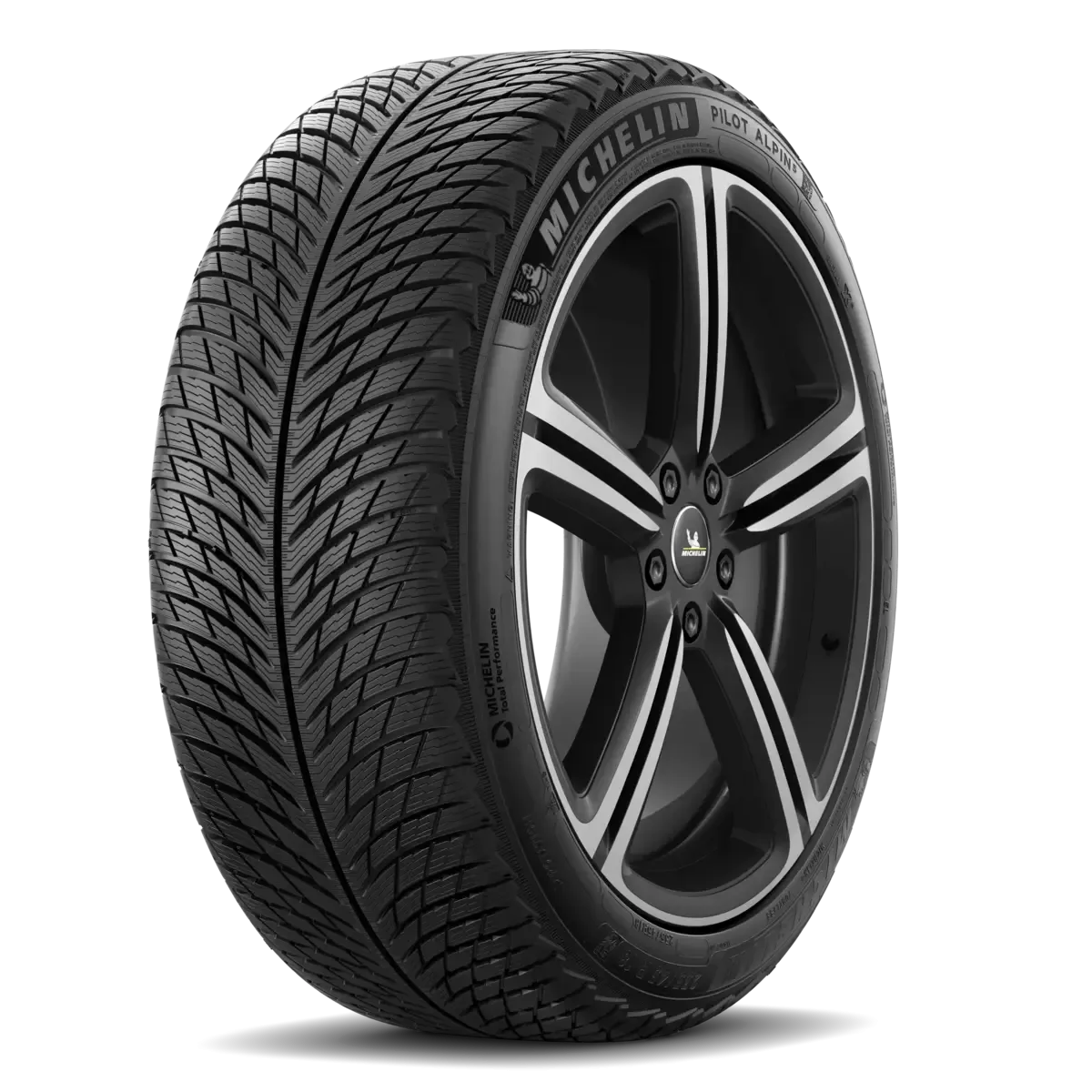 Pneu Michelin Pilot Alpin 5 265/30 R19 93W