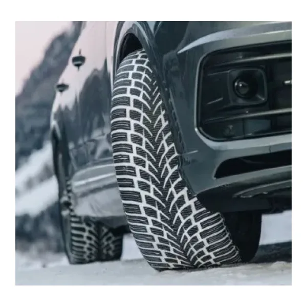 Pneu Nokian WR SUV 4 — vue 2